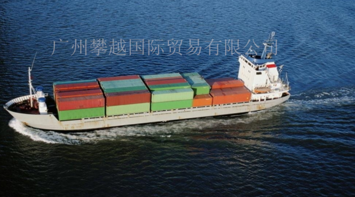 What Documentation Is Needed for Customs Clearance When Importing Chia Seeds into China?