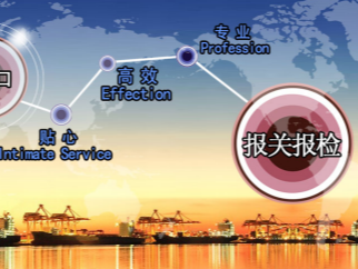 What Documents Are Needed for Temporary Import/Export Customs Declaration?