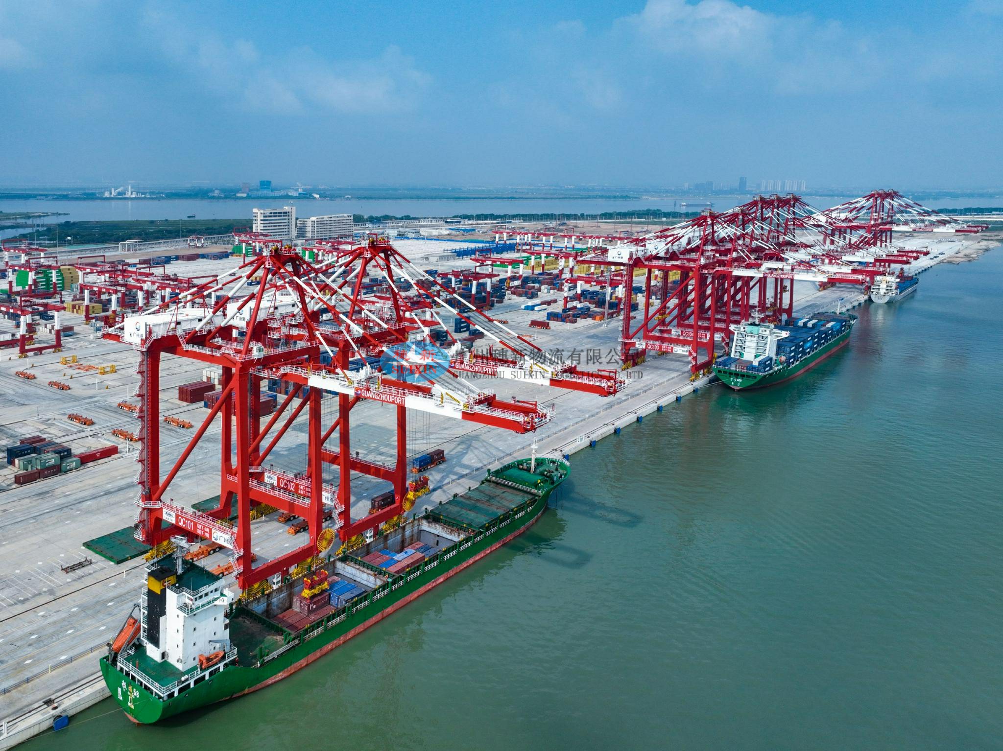 Customs Clearance for Wood Import with Guangzhou Company