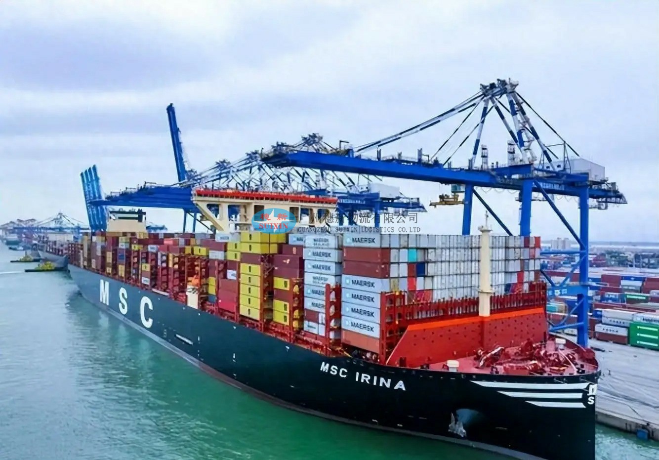 Professional Probiotic Capsules Export to China from Germany_ Shenzhen Yantian Port Export Solutions