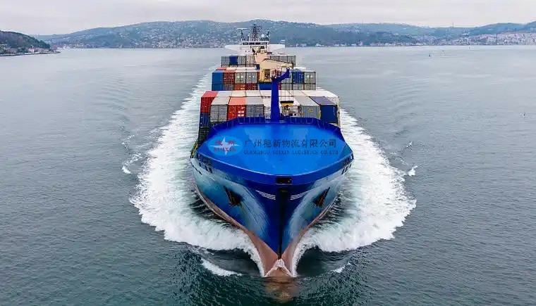 Export of edible vegetables to China_ Shenzhen Yantian Port Customs Clearance Solution