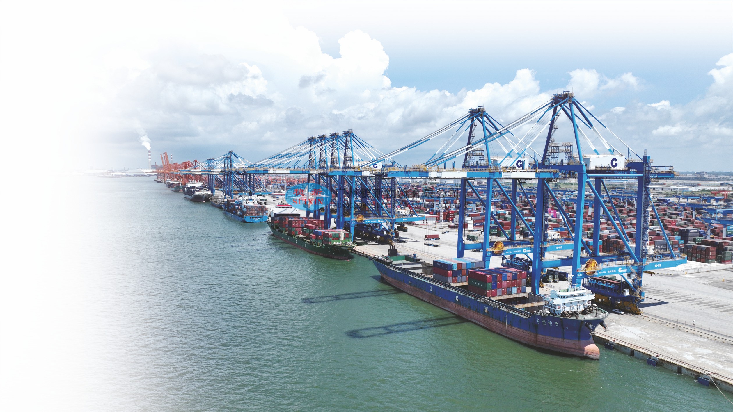 Cost-Effective Adult Dog Dry Food Export to China from Japan_ Guangzhou Nansha Port Customs Clearance