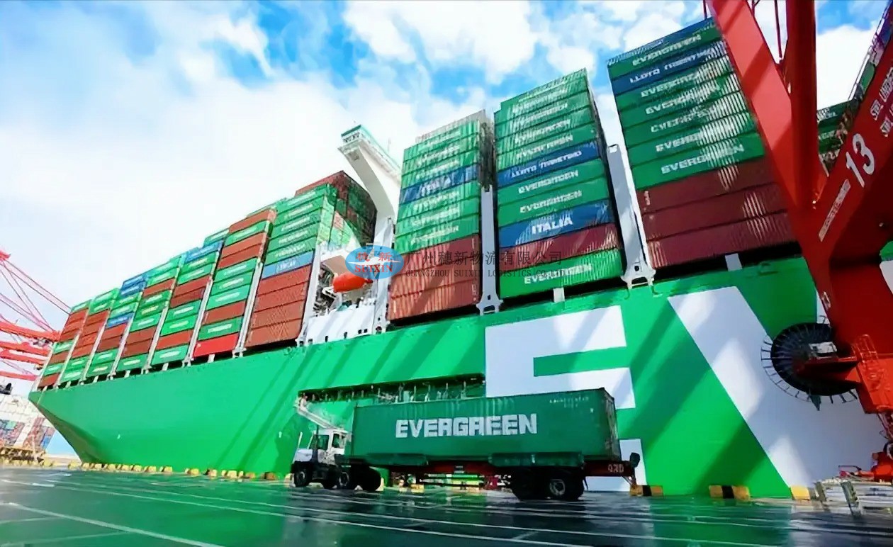 Quick Turkey Export to China_ Shenzhen Yantian Port Export Solutions