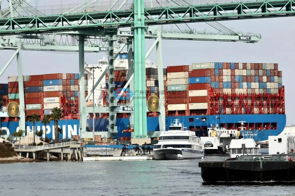 Professional Export of Eyelash Base Coat to China_ Shenzhen Shekou Port Export Solutions