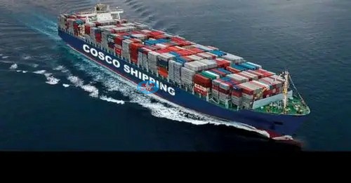 Imported cameras from China_ Shenzhen Shekou Port Customs Clearance Services