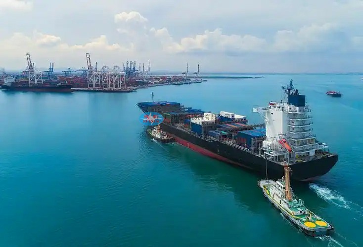 Efficient Whey Protein Powder Export to China from Japan_ Guangzhou Nansha Port Customs Clearance