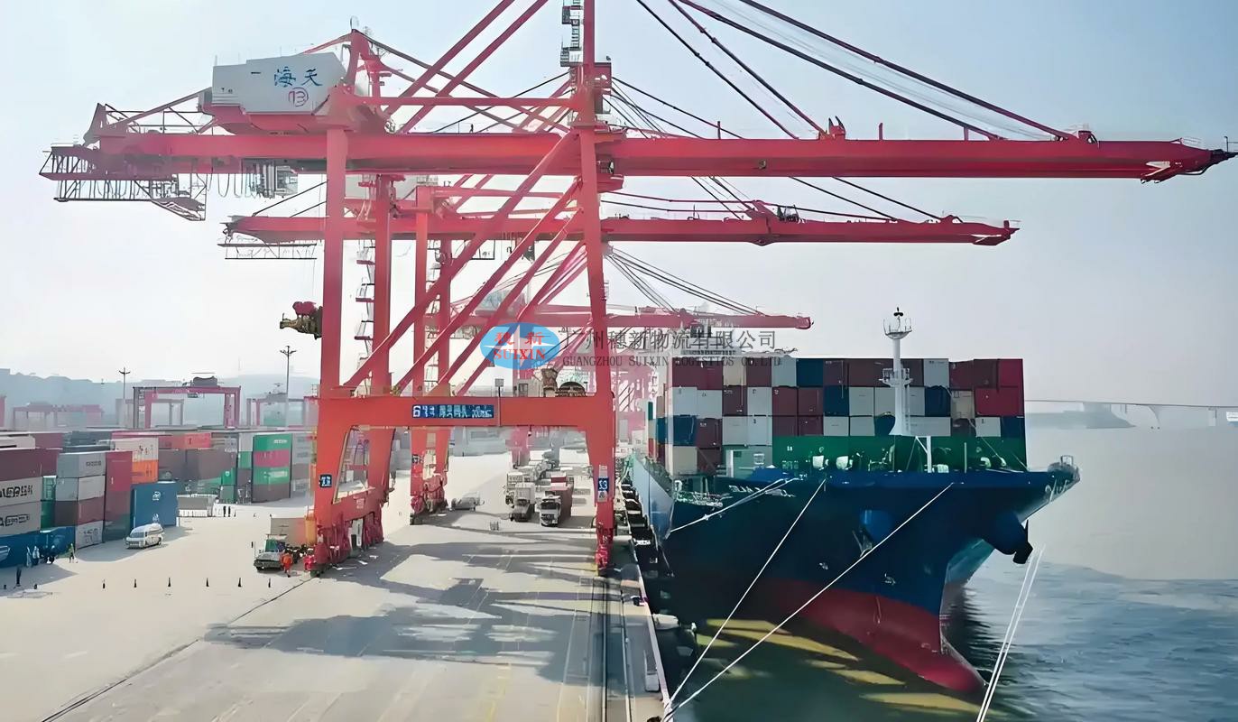 Seamless High-End Dog Food Export to China_ Guangzhou Nansha Port Customs Clearance