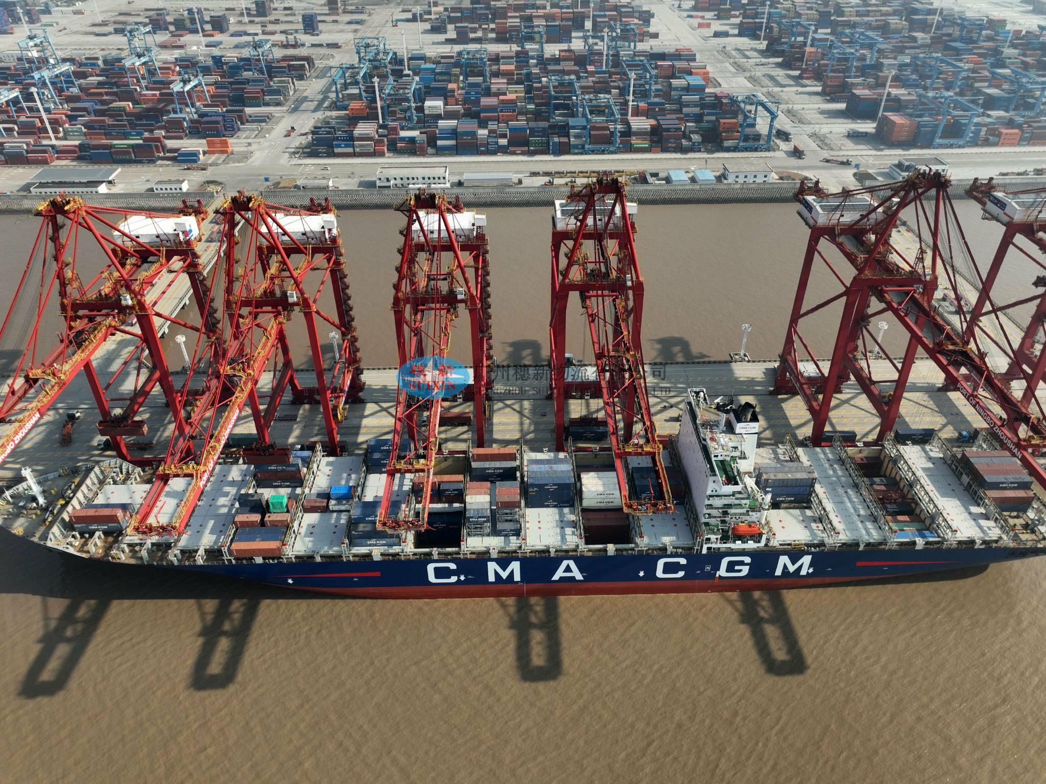 Export of wooden building materials to China_ customs clearance at Nansha Port, Guangzhou