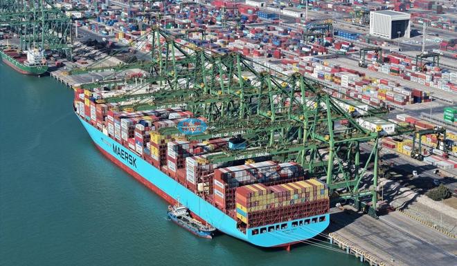 Natural wool fiber exports to China_ Shenzhen Yantian Port customs clearance solution