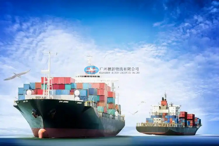 Oil crops exported to China_ customs clearance at Shenzhen Yantian Port