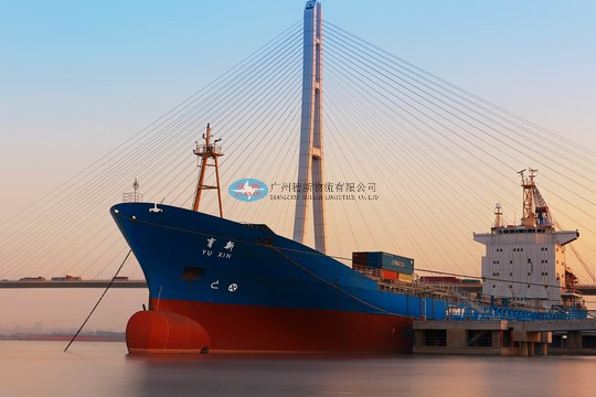 Cost-Effective Medicated Repairing Gel Export to China_ Guangzhou Nansha Port Customs Clearance