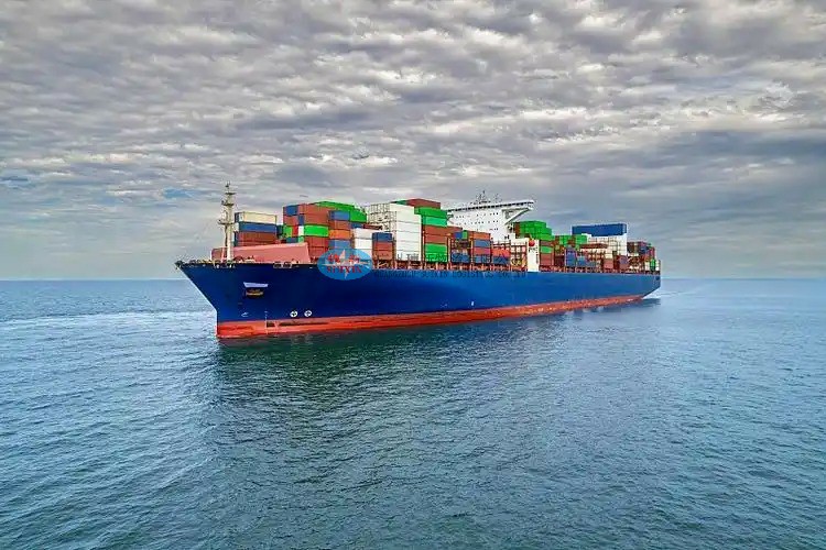 Collagen Import Customs and Warehousing for China