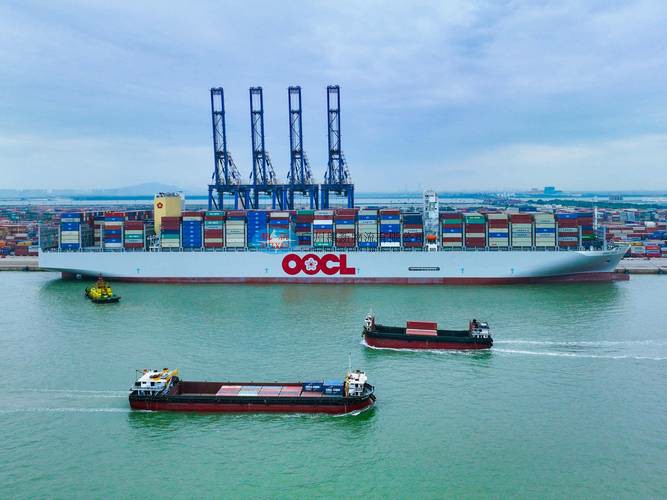 Importing fresh vegetables from China_ Shenzhen Shekou Port Customs Clearance Solutions