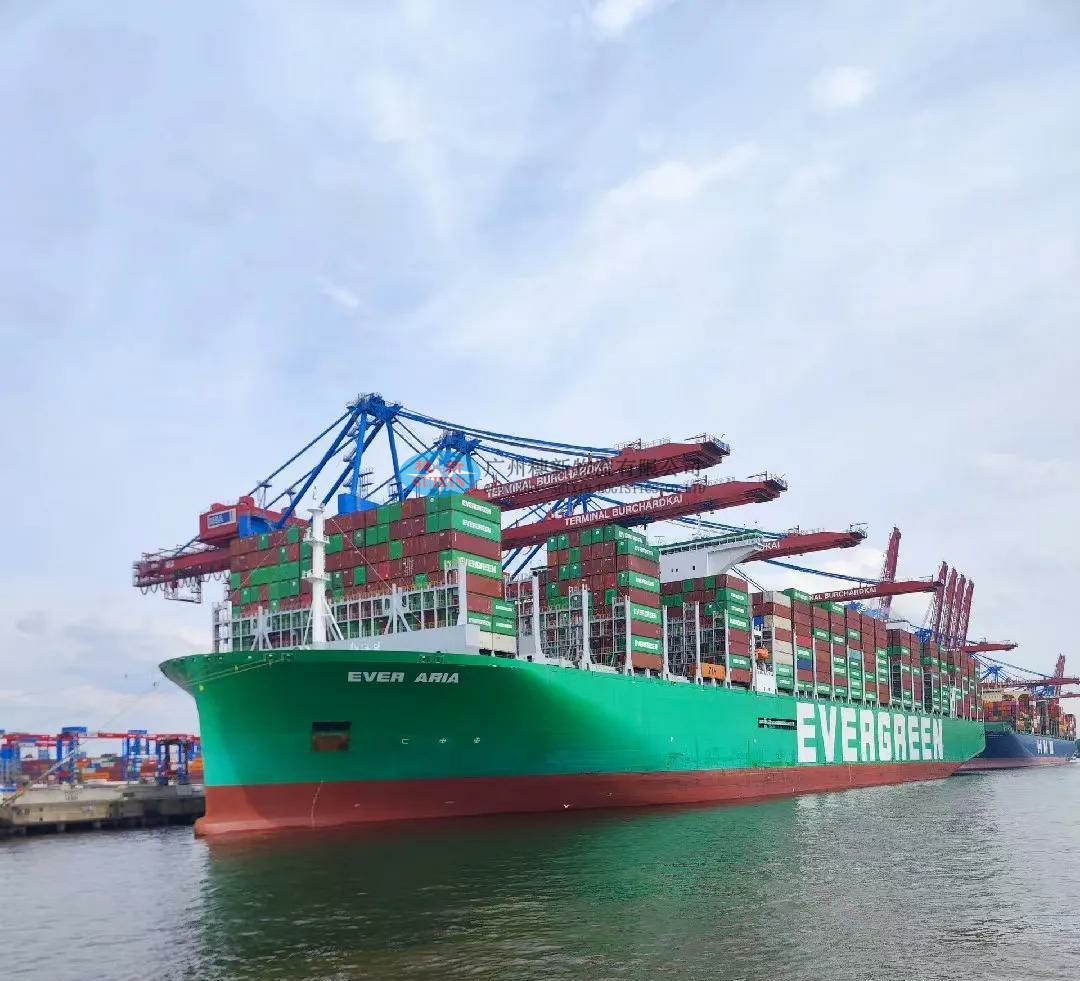 Professional Lycopene Export to China from USA_ Shenzhen Yantian Port Export Solutions